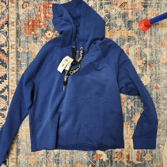 Calvin Klein Women's Classic Blue Sweatshirt Hoodie Nwt Size L - Picture 2 of 3